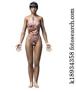 african-american γυναίκα