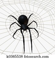 Black Widow Spider Black Widow Spider
