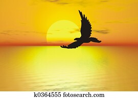 eagle eagle