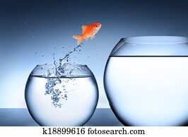 levantar, e, melhoria, conceito