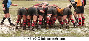 rugby rugby