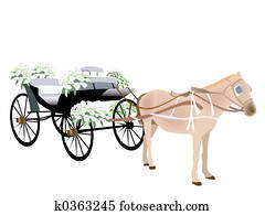 Wedding Carriage Wedding Carriage