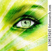 אקולוגיה, מושג