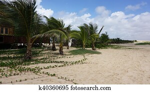 beach hut on sal island