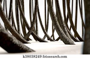 Microscopic Hair Fibers Microscopic Hair Fibers