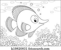 Tropical fish Tropical fish
