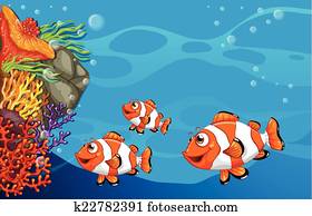 Underwater Underwater