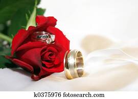 Wedding rings in a rose Wedding rings in a rose