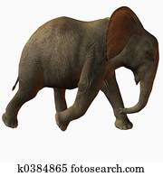 Baby Elephant Walk Baby Elephant Walk