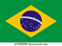 Brazilian Flag Brazilian Flag