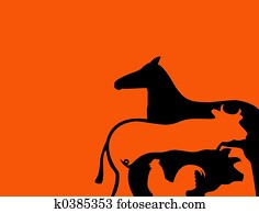 Farm animals Farm animals