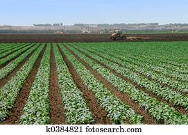 Farming Farming
