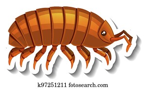 Isopod Clip Art Vectors | Our Top 10 Isopod EPS Images | Fotosearch