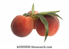 peach peach