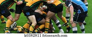 rugby rugby