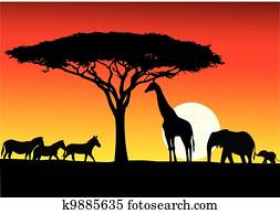 Safari Clipart | Our Top 1000+ Safari EPS Images | Fotosearch