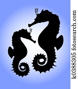 Seahorses Seahorses