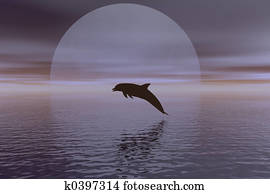 dolphin and moon dolphin and moon