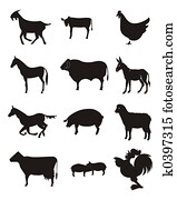 farm animal farm animal