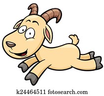 Goat Goat