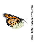 Anne Stock Fotos | 1000+ Anne Bilder | Fotosearch