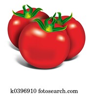 Red Tomatos Red Tomatos