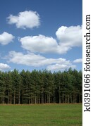 tree line with cumul