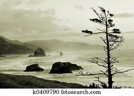 Cannon beach Cannon beach