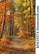 Fall Fall