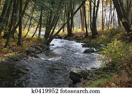 Fall scene Fall scene