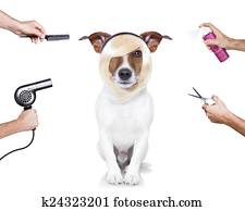 grooming dog grooming dog