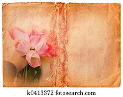 grunge book page with pink tulips grunge book page with pink tulips