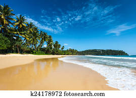 idyllic, praia., sri lanka
