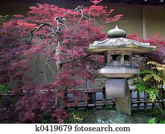 japanese garden japanese garden