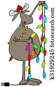 Moose handling Christmas lights Moose handling Christmas lights