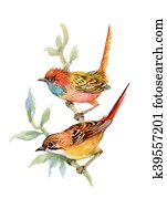 Watercolor forest birds on twig. Watercolor forest birds on twig.