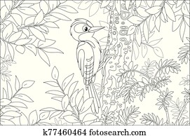 Woodpecker on a tree branch Woodpecker on a tree branch