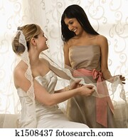 שושבינה, להחזיק, כלה, veil.