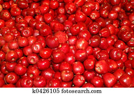 Apples Apples