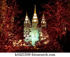 Christmas lights Christmas lights