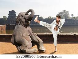 Karateka Fights With Elephant Stock Photography K Fotosearch