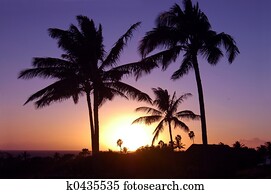 شاطئ الغروب هونولولو هاواي ألبوم الصور K6747473 Fotosearch