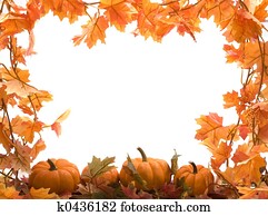 abóboras, com, licenças baixa