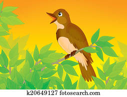 nightingale nightingale