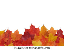 נפול עלה, גבול