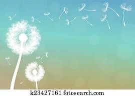 dandelion dandelion