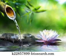 jardim zen, com, massagem, pedras