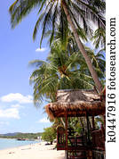 Tropical Beach Scene