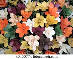 乾燥花圖片 1000 乾燥花全部種類的相片 Fotosearch
