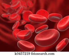 blood cells blood cells